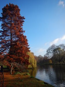 St. James's Park