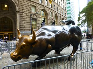 Charging Bull