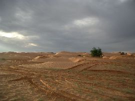 Il sole sulle dune