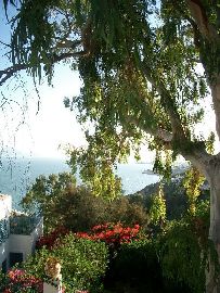 Sidi Bou Said panorama