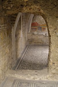 I mosaici della Casa Romana